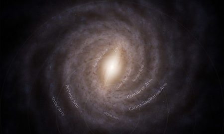 Il censimento degli ammassi stellari di Gaia