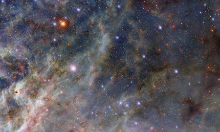 Nuovo sguardo sulla Nebulosa Tarantola