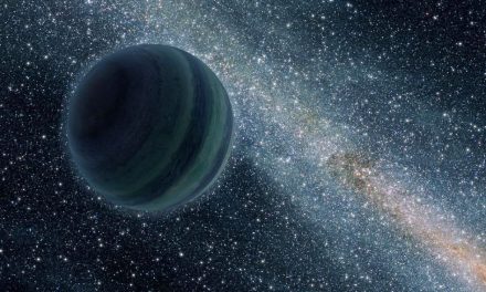Pianeti erranti costruttori di mondi