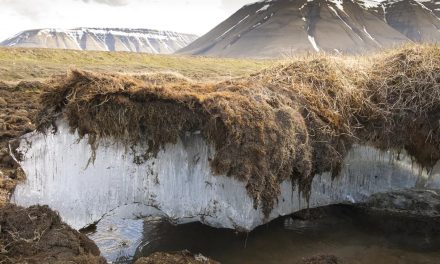 Il contributo di Esa al 35° rapporto sullo Stato del Clima