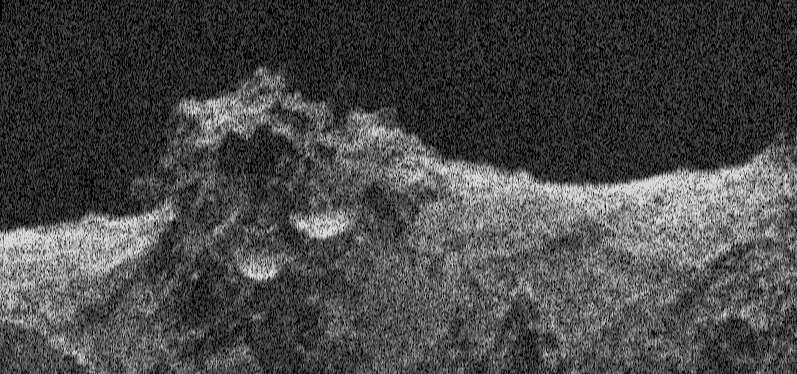 Europa Clipper, radar testato con successo su Marte