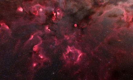 Atlante 3D dei vivai stellari nella Via Lattea