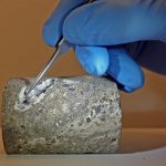 La vita microbica può nascere da eventi catastrofici