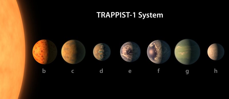 Illustrazione artistica che mostra tutti i pianeti del sistema Trappist-1, in ordine di distanza dalla stellaCrediti: Nasa/Jpl-Caltech
