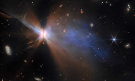 Da farfalla a sistema stellare
