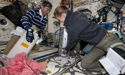 Voli spaziali e deperimento delle cellule staminali