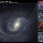 Webb svela il mistero delle giganti rosse che esplodono raramente