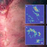 È la gravità a forgiare le stelle massicce