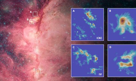 È la gravità a forgiare le stelle massicce