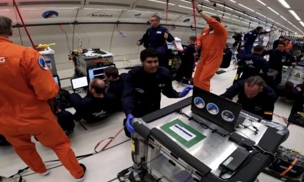 Muscoli 3D nello spazio