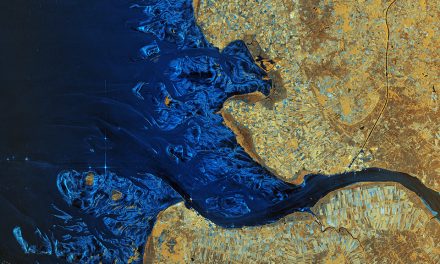 Sentinel-1D invia le prime immagini