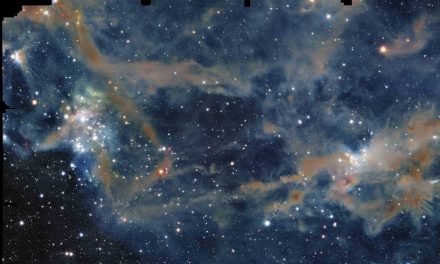 Euclid guarda oltre le nubi di Orione