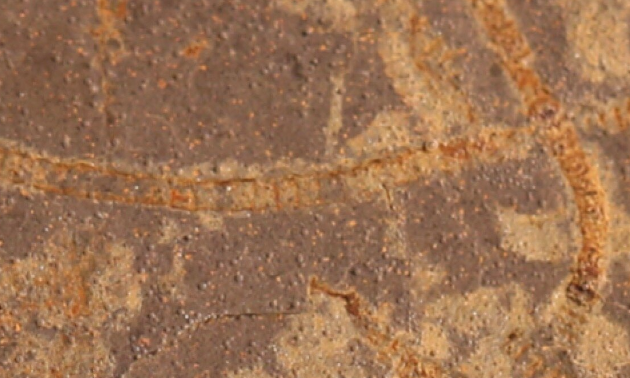 L’antica vita sulla Terra ‘raccontata’ dalle rocce