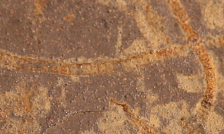 L’antica vita sulla Terra ‘raccontata’ dalle rocce