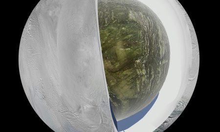 Encelado è caldo anche al polo nord