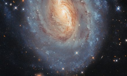 Una galassia colorata per Hubble