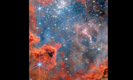 Un ammasso scintillante visto da Webb