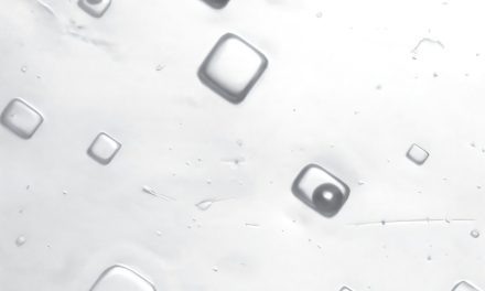 Sigillato nel sale il respiro antico della Terra