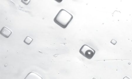 Sigillato nel sale il respiro antico della Terra