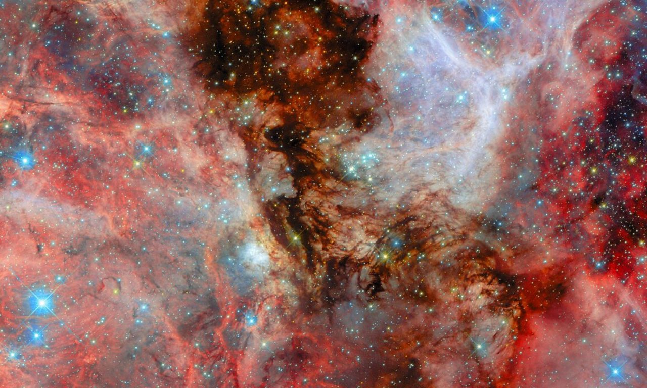 Una culla stellare dai colori accesi