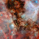 Una culla stellare dai colori accesi