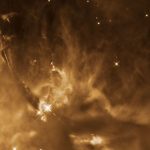 Le vivaci protostelle di Orione