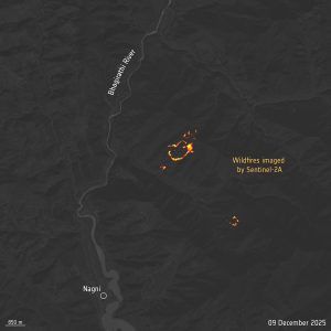 incendi in India - Sentinel-2A