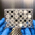 Biofilm, le comunità microbiche alleate dell’esplorazione spaziale