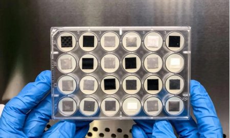 Biofilm, le comunità microbiche alleate dell'esplorazione spaziale