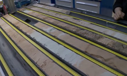 Il carattere imprevedibile della magnetosfera terrestre