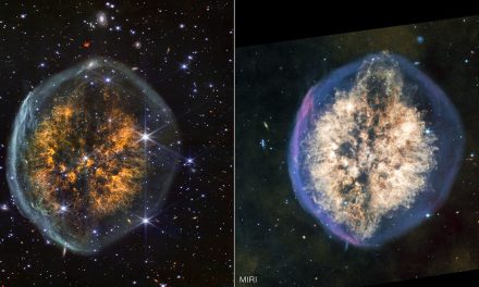 Webb cattura l’’aspetto cerebrale’ di una nebulosa