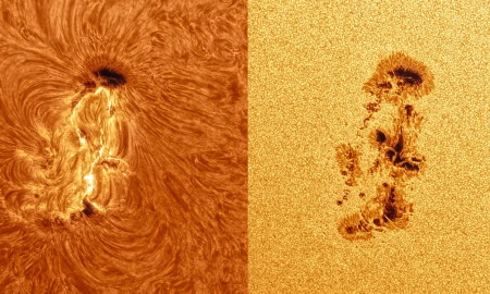 Una gigantesca macchia domina la superficie del Sole