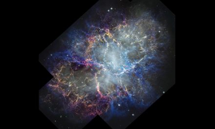 L’espansione della Nebulosa Granchio registrata da Hubble