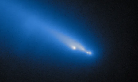 Hubble intercetta per caso la disgregazione di una cometa