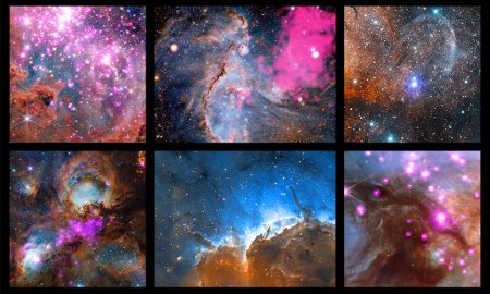 La primavera fiorisce anche tra le stelle