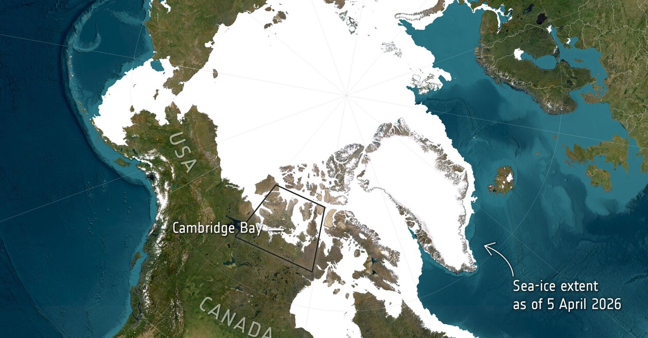 Nuove vedette per le regioni polari