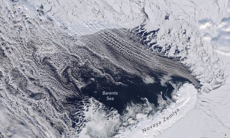 Artide, ghiaccio marino in ribasso