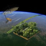 Il satellite che vede dentro le foreste: un anno di Biomass