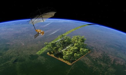 Il satellite che vede dentro le foreste: un anno di Biomass