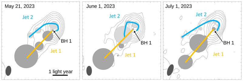 La galassia Mrk 501 osservata in tre diversi giorni a una frequenza di 43 gigahertz. I cerchi grigi evidenziano le regioni luminose all’interno dei getti. Il getto arancione, (Jet 1) è orientato verso la Terra; il secondo, in blu (Jet 2), è il getto scoperto di recente e mostra grandi variazioni morfologiche nell’arco di poche settimane. Entrambi i flussi di particelle hanno origine in regioni molto vicine nel nucleo della galassia. La freccia mostra la posizione del buco nero (BH 1) associato al Jet 1. (Crediti: S. Britzen)