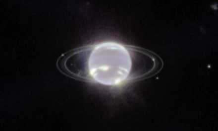 Nereide, la luna superstite di Nettuno