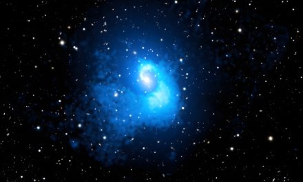 Abell 2029, le cicatrici di un gigante