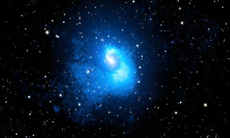 Abell 2029, le cicatrici di un gigante
