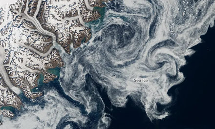 Artico, cresce il numero degli iceberg