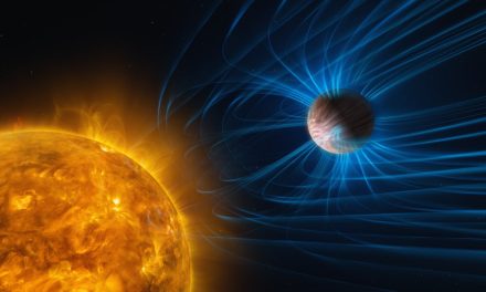 La firma magnetica degli esopianeti