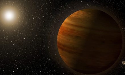 Una scoperta inattesa da Tess