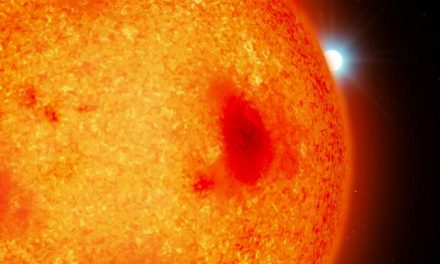 Nane bianche ‘fantasma’ nel nostro vicinato cosmico
