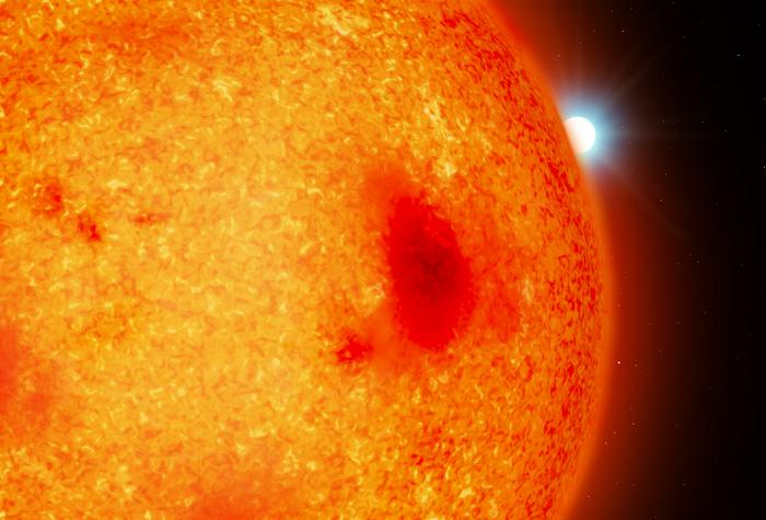 Nane bianche ‘fantasma’ nel nostro vicinato cosmico