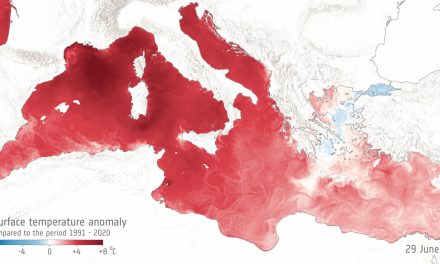A giugno temperature record delle acque superficiali nel Mediterraneo e nel Mondo