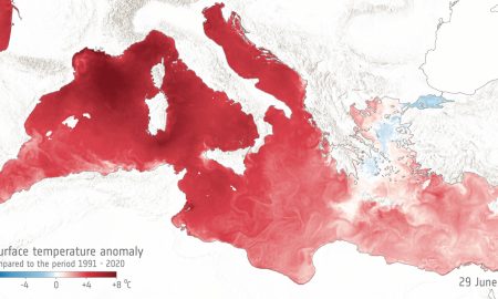 A giugno temperature record delle acque superficiali nel Mediterraneo e nel Mondo